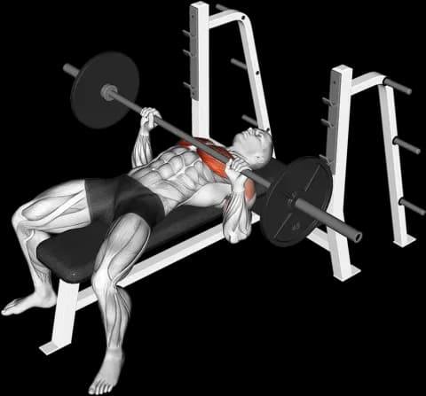Barbell bench press exercise demo thumbnail