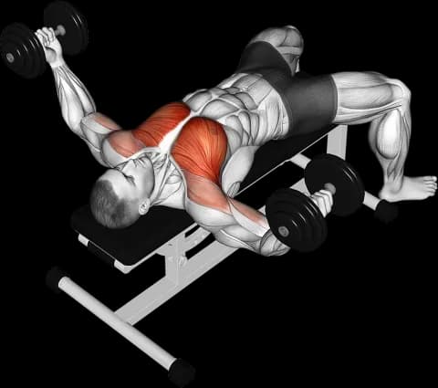 Dumbbell fly exercise demo thumbnail